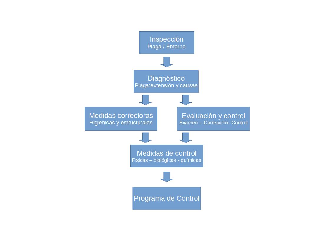 grafico_cip